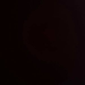 Meet your Posher, Jamilee